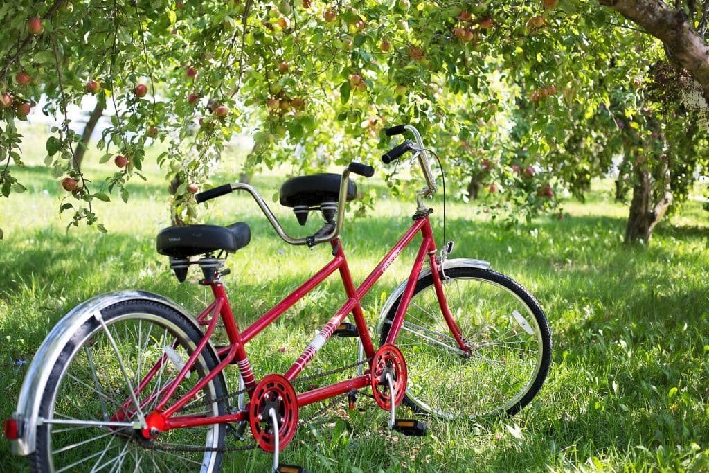What is a tandem bike? Tandem comfort bike in field